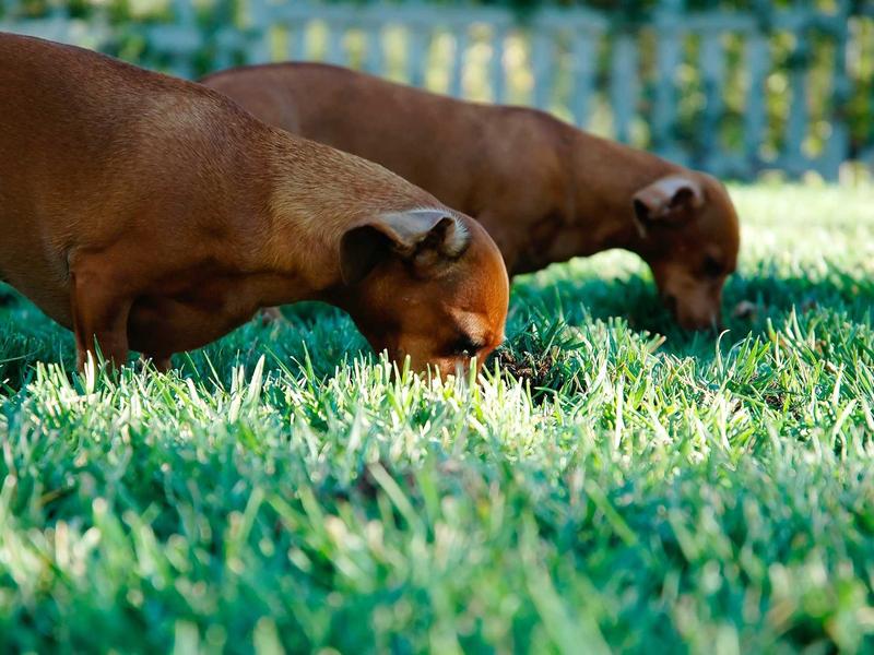 sudoku cell selection screenshot 5