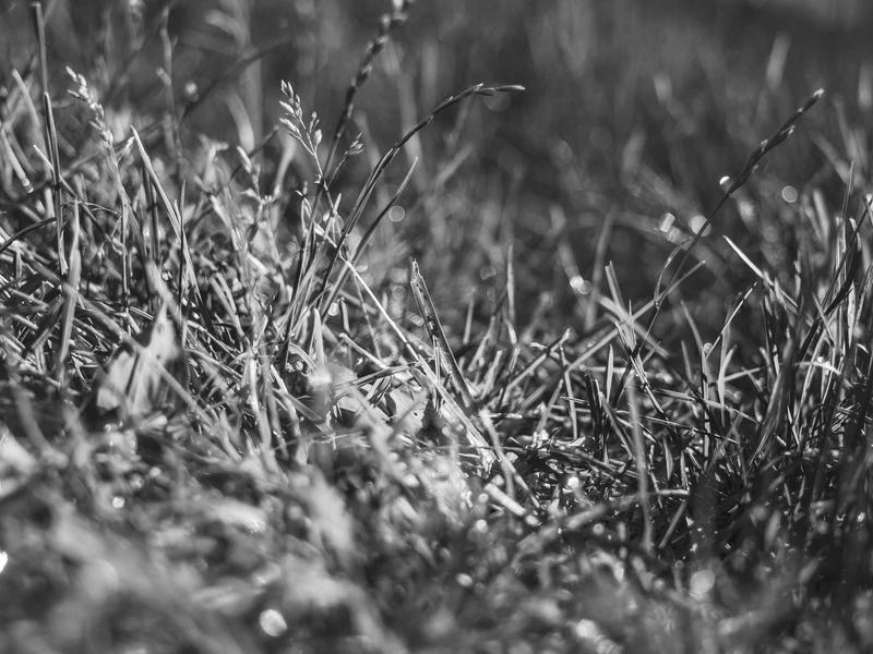 sudoku cell selection screenshot 6